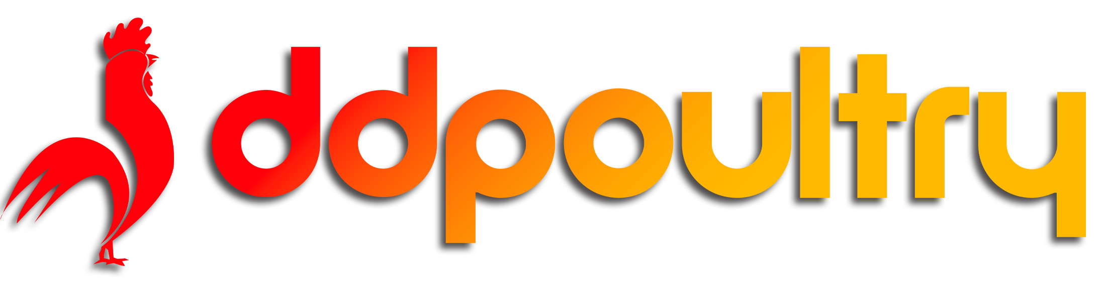 DDPoultry